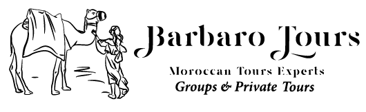 logo-02 Barbaro Tours